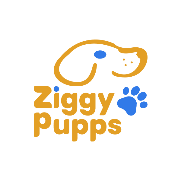 ziggy-pupps
